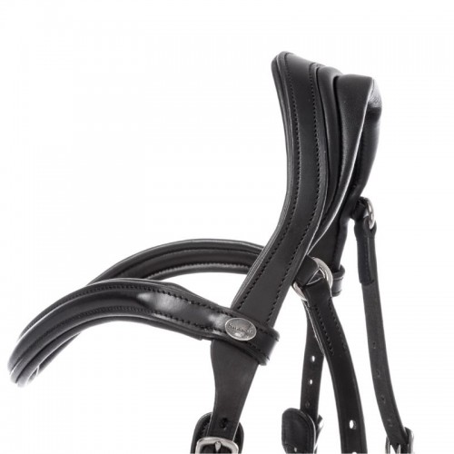 Kavalkade Bridle Cajus