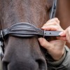 Kavalkade Levana Hunter Bridle