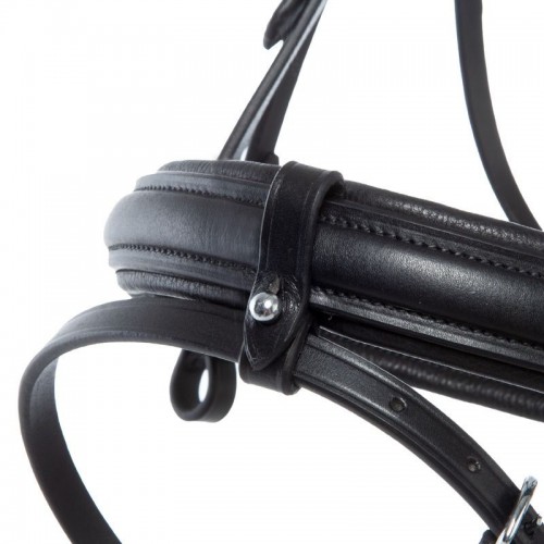 Kavalkade Clinchesse Bridle