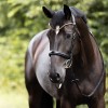 Kavalkade Clinchesse Bridle