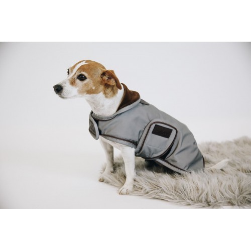 Kentucky Dog Coat Reflective