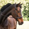 Kavalkade bitless bridle light