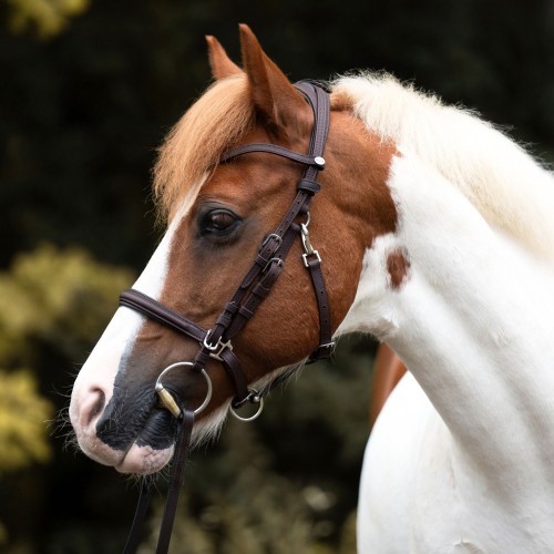Kavalkade 2in1 Halter-Bridle Artemis