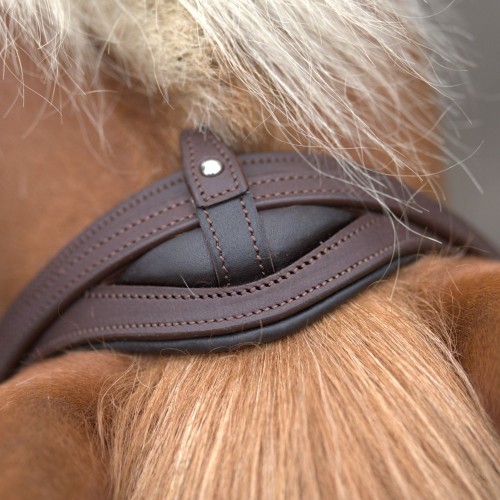 Kavalkade 2in1 Halter-Bridle Artemis