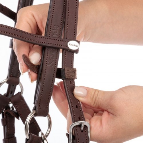 Kavalkade 2in1 Halter-Bridle Artemis