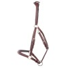 Kavalkade 2in1 Halter-Bridle Artemis