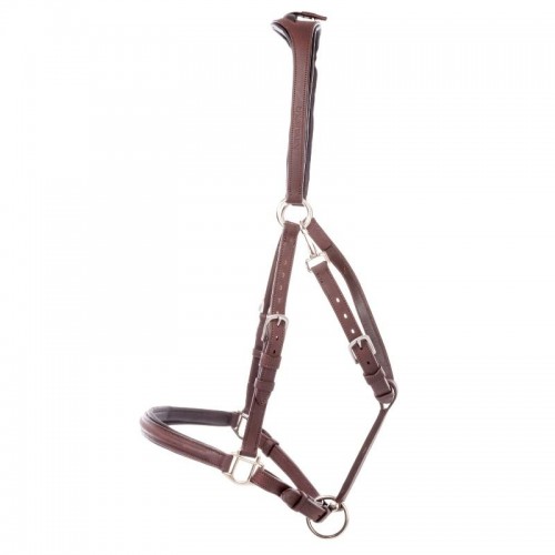 Kavalkade 2in1 Halter-Bridle Artemis