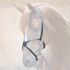 Kavalkade Mexican Noseband