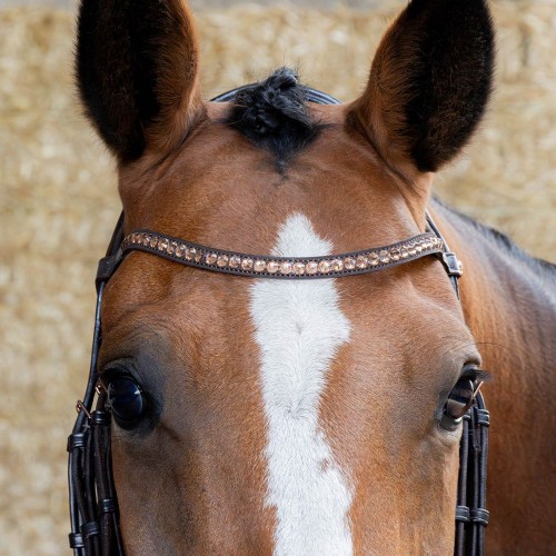 Harry's Horse Copper Bridle
