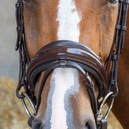 Harry's Horse Copper уздечка