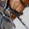 Harry's Horse Copper Bridle