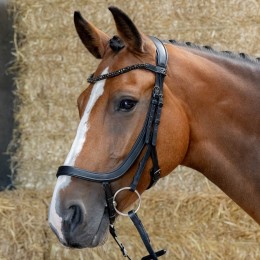 Harry's Horse Anatomical уздечка чёрный Crystal