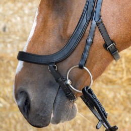 Harry's Horse Anatomical уздечка чёрный Crystal