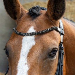Harry's Horse Anatomical уздечка чёрный Crystal