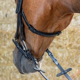 Harry's Horse Anatomical уздечка чёрный Crystal