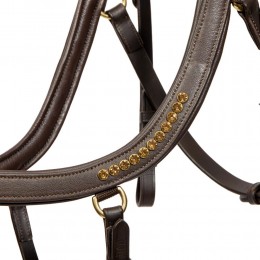 Harry's Horse Anatomic Gold уздечка