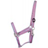 Harry's Horse Economy Halter