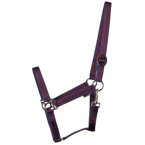 Harry's Horse Economy Halter