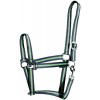 Harry's Horse Economy Halter