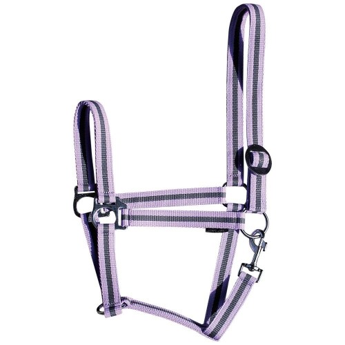 Harry's Horse Economy Halter