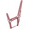 Harry's Horse Economy Halter