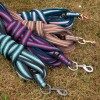 Harry's Horse SS26 Lunge Line Soft Stripe