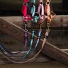 Harry's Horse SS26 Soft Lead Rope 2m Stripe