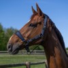 Kingsland SS26 KLLucca Halter and Lead Rope