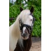 HB Showtime Bridle Petit Royal Little Sizes