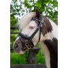 HB Showtime Bridle Petit Royal Little Sizes