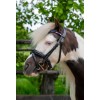 HB Showtime Bridle Petit Royal Little Sizes