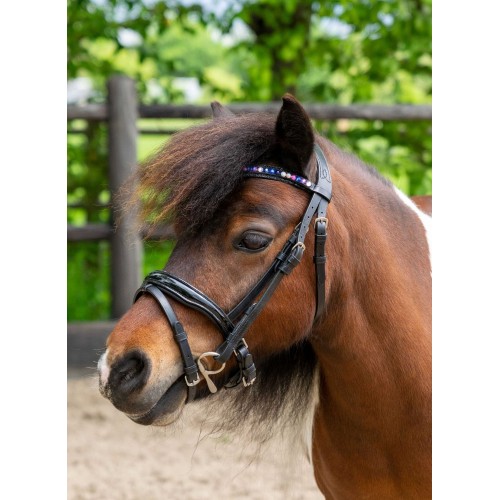 HB Showtime Bridle Petit Royal Little Sizes