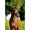 HB Showtime Sweet Dreams Bridle
