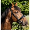 HB Showtime Sweet Dreams Bridle