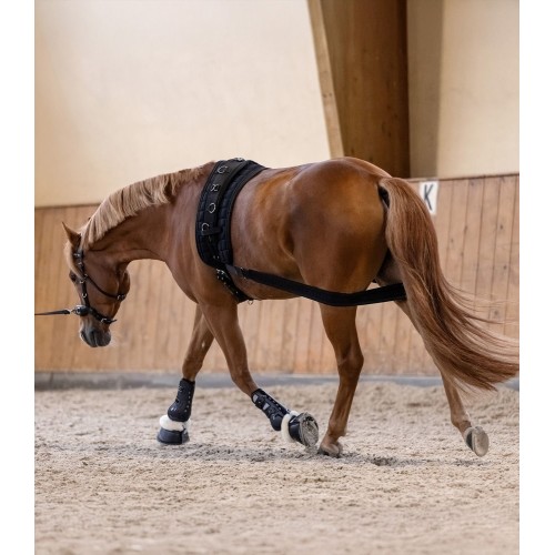 Waldhausen Tendon Boots Memory Foam Pro