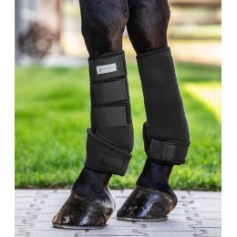 Waldhausen передние ногавки Protect