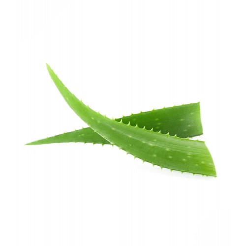Waldhausen Coat and Mane Spray Aloe Vera