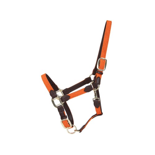 Kentucky Braided Nylon Halter