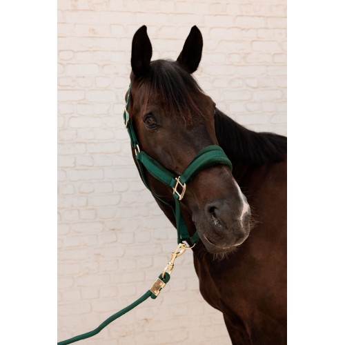 Kentucky Velvet Halter