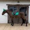 Kentucky Saddle Pad Velvet Horse printing Show Jumping
