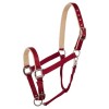 BR Halter Event