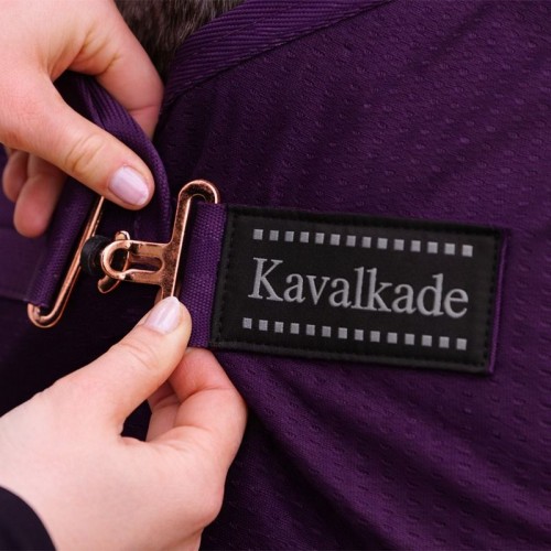 Kavalkade Vliegendeken Aeris