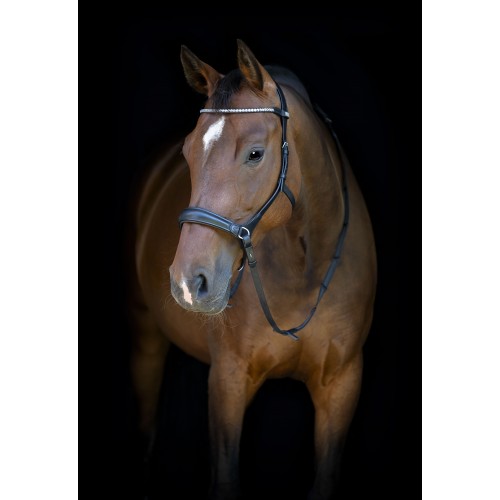 HorseGuard SS26HG Bitless bridle