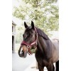 Kentucky Velvet Halter