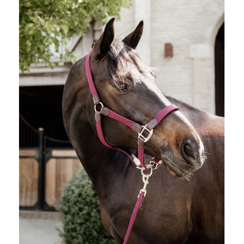 Kentucky Braided Nylon Halter