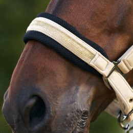 Imperial Riding SS26 недоуздок IRHJewel из сетки