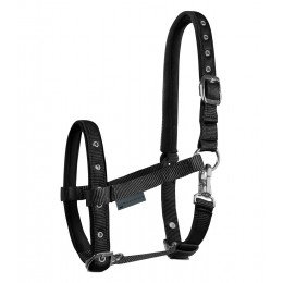 Waldhausen Comfort жеребёнок недоуздок