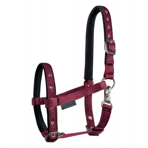 Waldhausen Comfort Foal Halter