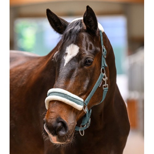 Waldhausen SS26 Halter Elegant