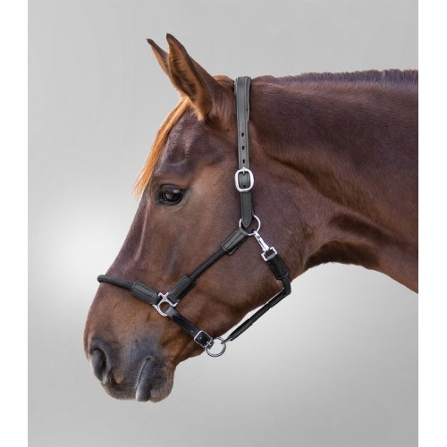 Waldhausen Leather Halter X-Line Nevada